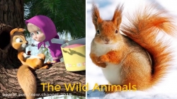 کارتون ماشا و میشا ❤ قسمت ۲۴۲ ❤